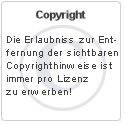 Entfernung der sichtbaren Copyrights